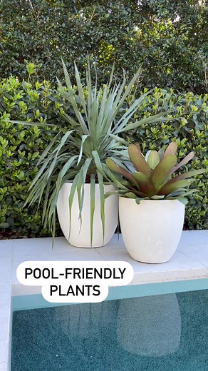 15K views · 138 reactions | Spruce up your poolside with these...