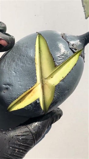 #fruit #farming101 #fruitcultivation #fruitcuttingskills #fruitfarming #satisfying #fruitgrowing