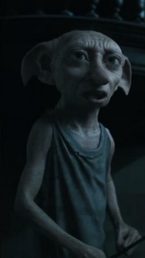 Dobby Is A Free Elf