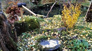 Japanese Garden, Shishi-Odoshi, The Sound Of Water. Free Stock Video