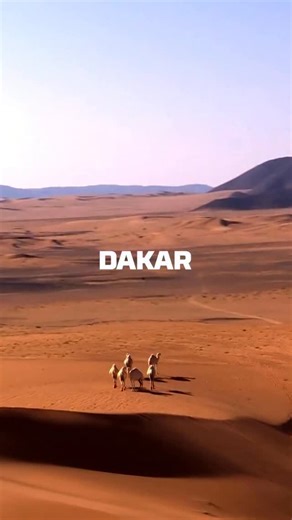 10K views · 364 reactions | It’s FINAL TIME ⚡️ #W2RC #FIA #FIM | World Rally-Raid Championship | Facebook