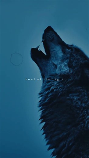 howl of the night