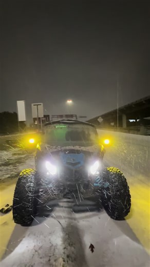 Preparing for the Arctic Cyclone: Snowstorm Insights