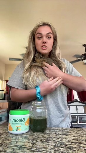 Meet Skipper: The Amazing Patagonian Cavy