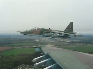 2010г. парад. Роман.