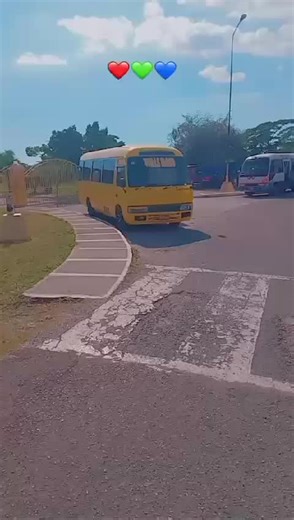 Sandra Murray on TikTok