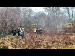 Spaniel championship 2023 Dave Templars Second run with FTCH Sedgewood Poppy Of countryways