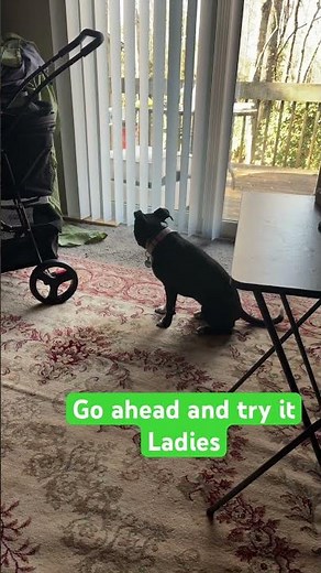 #datingadvice #dating #funny #relationship #datingtips #viralvideo #comedyvideos #shortvideos #viral