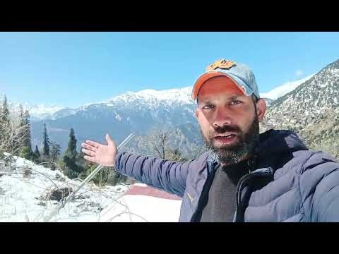 Beautiful Snowfall At Chopta 02.03.2025 #chopta