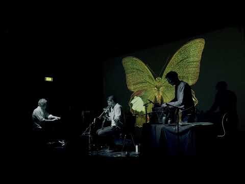 LUOPE, LIVE from release-concert of WINGBEATS.