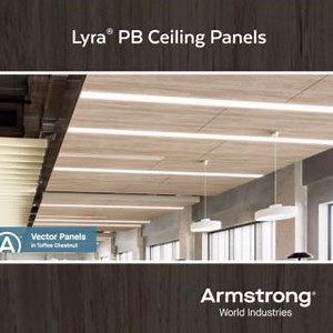 Create a monolithic wood-look appearance and have superior acoustic control - without the expense. Explore ways to evoke the beauty of wood ceilings with Lyra PB Ceiling Panels. For more information, visit https://ow.ly/YtPR50S30h9. | Armstrong Ceiling Solutions