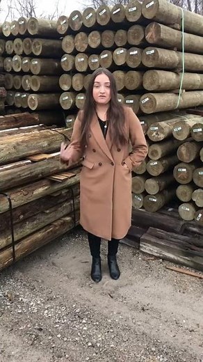 Wood Fence Posts 🪵 Where to Purchase Pressure-Treated Fence Posts?