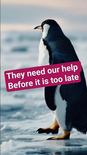 why animals are important to earth #wildlifeconservation