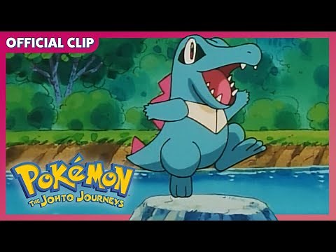Totally Adorable Totodile! | Pokémon: The Johto Journeys | Official Clip