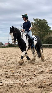 Amelia J Allen on Instagram: "Bestest baby today Worked a lot on the inside track today to make him less reliant on the fence line so he’s learning to keep balance with my outside aids to support him and working more collected with a nice rhythm and keeping supple, slowly but surely getting there💙💙 Code ‘bucking10’ @me_and_p_equestrian for 10% off #littleviking #pipsaccessories2020 @pipsaccessories"