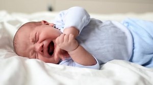 Little baby newborn crying, cry scream, cries loudly. New born child tired and hungry in bed on white blanket. Infant screaming. Healthy little kid shortly after birth. Close Up Portrait.