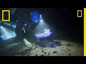 Croc Fossil Discovered in Cave | National Geographic
