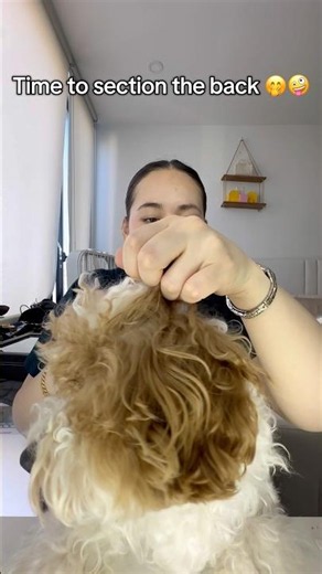 Time for Lenox’s salon appointment 🤭🥰🐶🤍