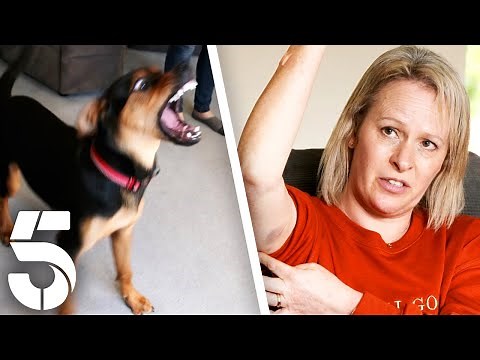 Rescue Dog Attacks Family | Dogs Behaving (Very) Badly | Channel 5