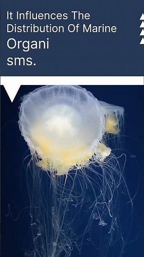 How does the Ekman spiral affect our ocean's climate?