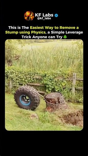 Removing a Stump Using Physics🪵🧠