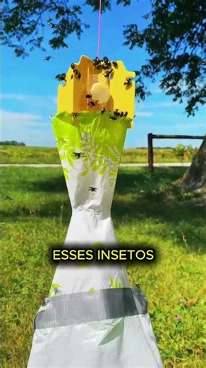 FAZENDA DE BESOUROS? #curioso #incrível #interessante #shorts #educacional #besouroverde #fazenda