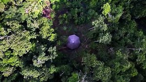 The healer | movie | 2019 | official trailer