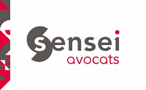 L’abrogation de l’article 2279 du Code civil ou la fin des actions possessoires devant le juge du fond