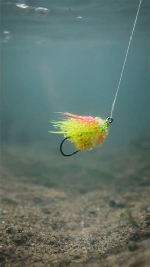 Micro Lure Concept Test | Egg Pattern Underwater
