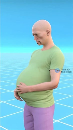 Male Pregnancy- Nature’s Craziest Role Reversal🤯3D Animation in Hindi #shorts #facts #nature