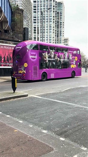 *Whiskas ad wrap* Arriva New Routemaster LTZ1733 passes through Waterloo on the 59 to Smithfield