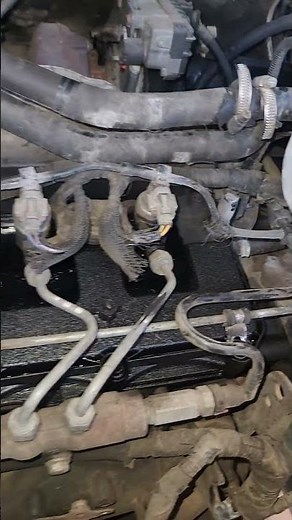 ford transit 2.2 injector seals are leaking #carservice #shortvideo #shortsfeed