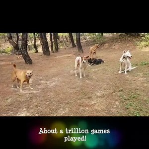 70 reactions · 3 comments | •••DAR in 2018••• 2018 was a great year...