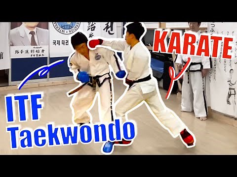 I Fought A Taekwondo Champion!｜Karate vs Taekwondo Ep#3