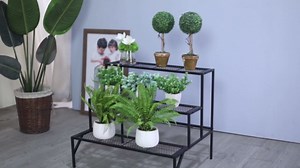 Plant Stand Indoor Outdoor - 3 Tier Metal Tall Plant Stands - Ladder Plant Holder Shelf - Multiple Planter Organizer Shelves - Flower Pot Display Rack for Living Room, Balcony, Garden, Patio, Black