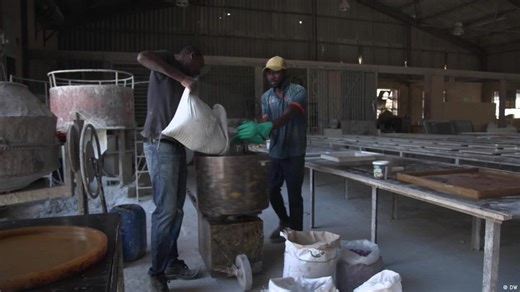 How invasive plants are becoming homes in South Africa