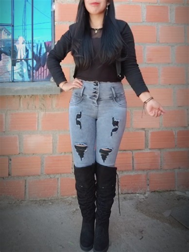 Evelin HM — evelin700 / evelin100 search guide