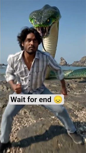 snake vs man fight 🪱#shorts #animals #snake #youtubeshorts #ai #wildanimals #explore #wildlife #fyp