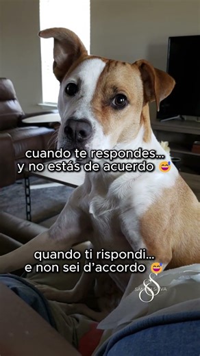 😅 Talking to yourself is normal | Inspiring Quotes | La Casa di Sameli 🏡