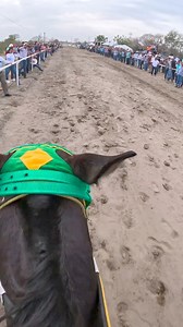 118K views · 1.9K reactions | SORUYO CAMPEÓN FUTURITY #caballosdecarreras #gopro #carrerasdecaballos #caballosligeros #caballoscuartodemillas #viralvideo #parati #fyp #parati #parejeras | Adicción Carrerera Veracruz | Facebook
