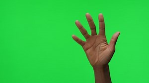 Female Hand Open Gesture On Green Stock Footage Video (100% Royalty-free) 1008996596 | Shutterstock