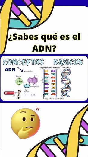🤔 ¿De qué está hecho el ADN? | Estructura y Nucleótidos #shorts #adn #genetica