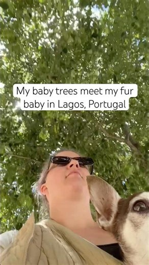 Lagos Mais Verde baby trees are growing 🪴☀️