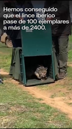 9.5K views · 20 reactions | Solo con el apoyo de personas como tú podemos seguir trabajando en restaurar cientos de hectáreas de bosques  y humedales, miles de hectáreas de fondos marinos de nuestras costas y en salvar de la extinción a especies clave como el lince ibérico . ¿Te unes a la defensa de la Naturaleza ? | WWF España | Facebook