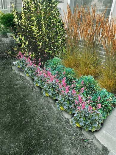 Full Sun Prairie Garden Planting Plan: DIY Landscape Design (PDF) - Etsy