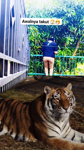 2.3K views · 12 reactions | #editing #fyp #viral | Dewi M. Purba | Facebook