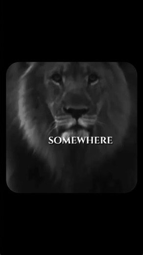 Unstoppable Lion Mindset 🦁 | Powerful Motivational Speech to Dominate Every Challenge
