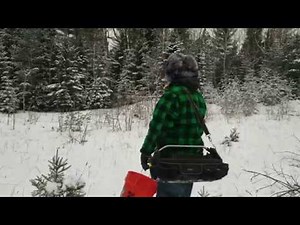 how to trap coyotes in the winter with drags