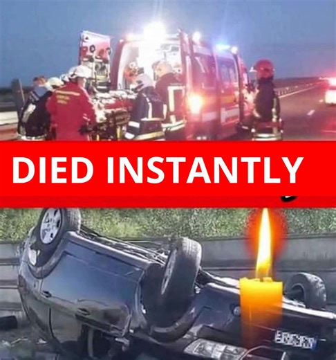 22K views · 24 reactions | Huge lossA widely beloved actor from the entire planet has passed away. The tragedy unfolded due to a serious motorcycle accident. Full story in Comments  | Dogs World | Facebook