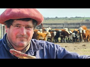 I feel like I'm LIVING on VACATION // She had the opportunity to study but chose the COUNTRYSIDE